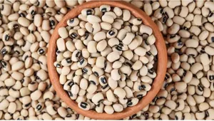 Lobiya 1/2kg