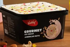 Vadilal Gourmet American Nuts Ice Cream Tub 750ml