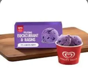 Kwality Walls Black Current Brick ice cream 700ml
