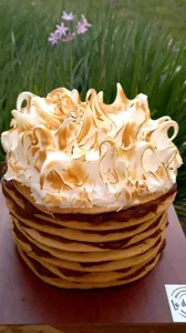 Rogel