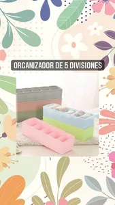 Organizador de 5 divisiones