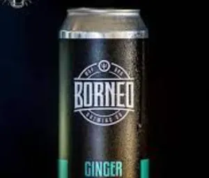 Cerveza Gringer Ale Lata Borneo