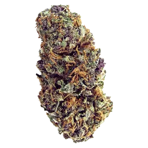 Forbidden Widow
