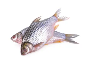 Shorputi Fish