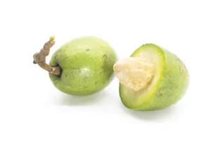 Olive/ Jolpai