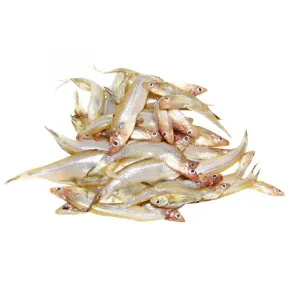 Keski Fish