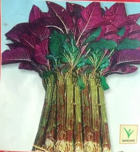 Data Vegetable