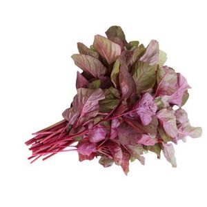 Red Spinach