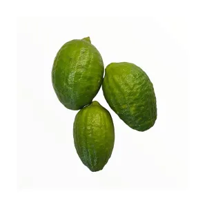 Jara Lemon