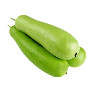 Bottle Gourd