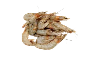 HORINA CHINGRY