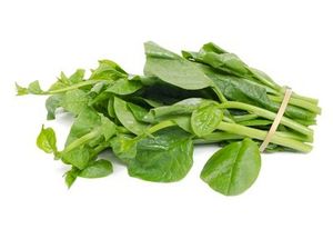 Malabar Spinach