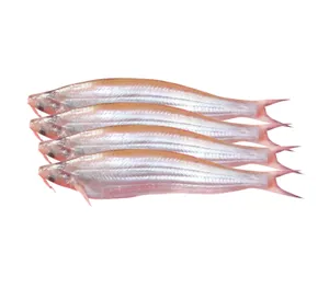 Bashpata Fish