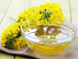 Canola oil