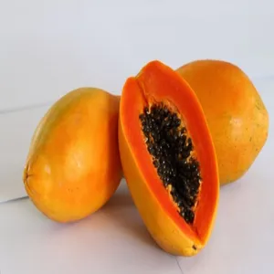 Papaya