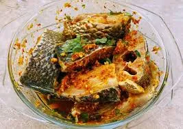 Tilapia