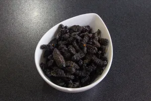 Mopane Worms