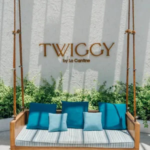 Twiggy