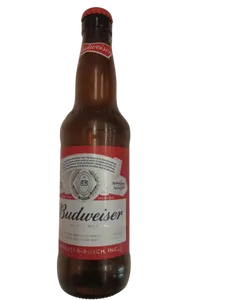 BEER BUDWEISER 330ML NRB