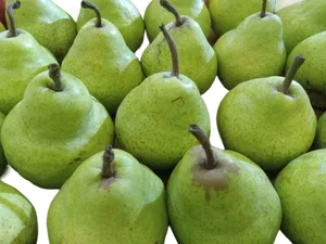 PEAR PACKHAM LOOSE PKG