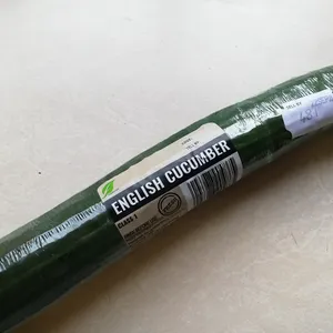 CUCUMBER ENGLISH EA