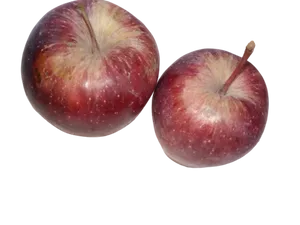 APPLE TOP RED LARGE 1S EACH