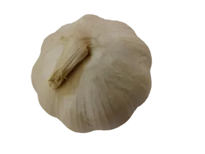 GARLIC LOOSE PKG