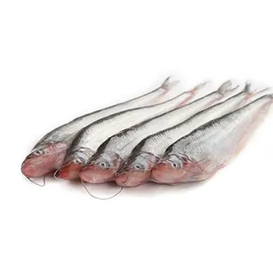 Bangladeshi IQF PABDA (Cat Fish) (500g)