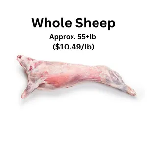Whole Sheep approx. 55+lb - ($10.49/lb)