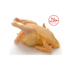 Frozen Heavy Fowl/Mature (Hard) Chicken SMALL (~4.0-5.0lb)