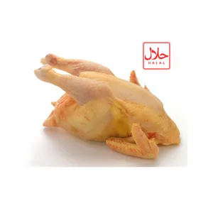 Frozen Heavy Fowl/Mature (Hard) Chicken SMALL (~4.0-5.0lb)