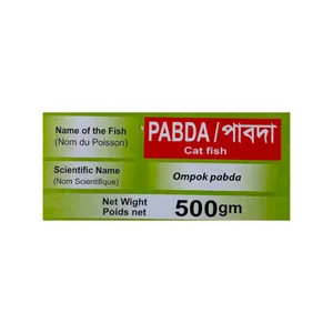 Bangladeshi PABDA (Cat Fish) (500g)