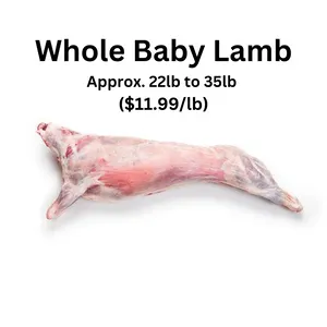 Whole Baby Lamb approx. 22-35lb - ($11.99/lb)