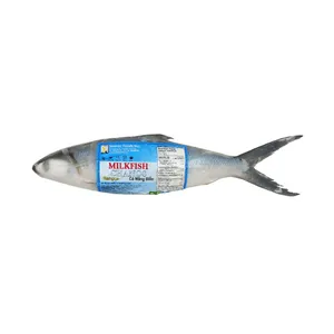 Milkfish Chanos 2lb