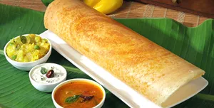 Plain Dosa