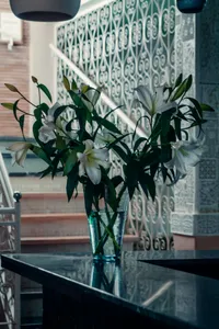 Flower Vase