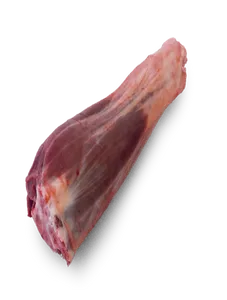 fore shank