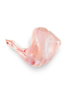 Hind leg