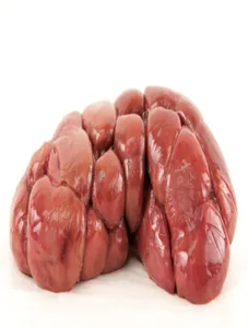 kidney