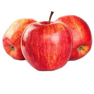 Apple - Shimla