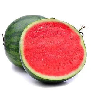 Watermelon - Small