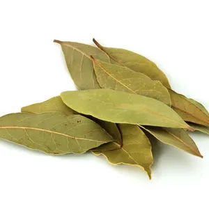 Palav Aaku