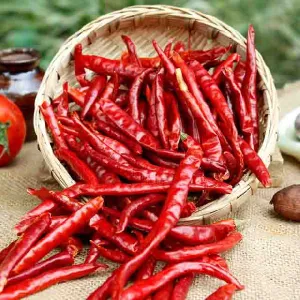 Yendu Mirchi