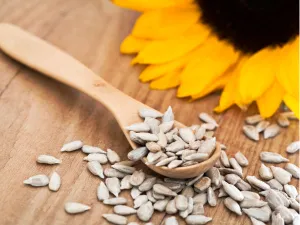 Sunflower Ginjalu