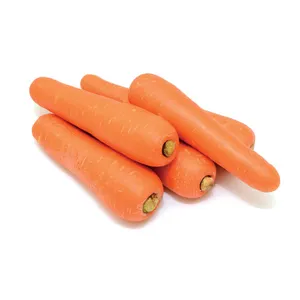 Carrot 1 Kg