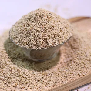 Jidi Nooka