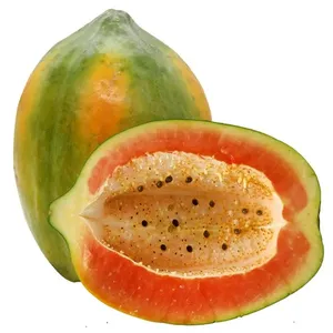 Papaya - Medium