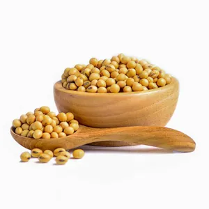 Soya Beans
