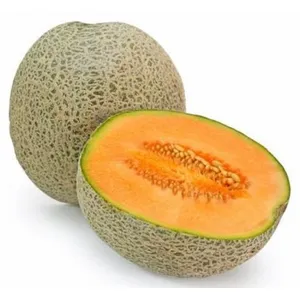 Muskmelon - Netted Small