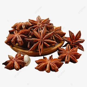 Anasa Puvvu